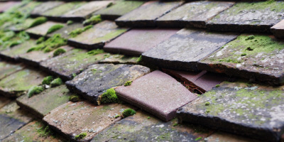 Little Paxton roof repair costs